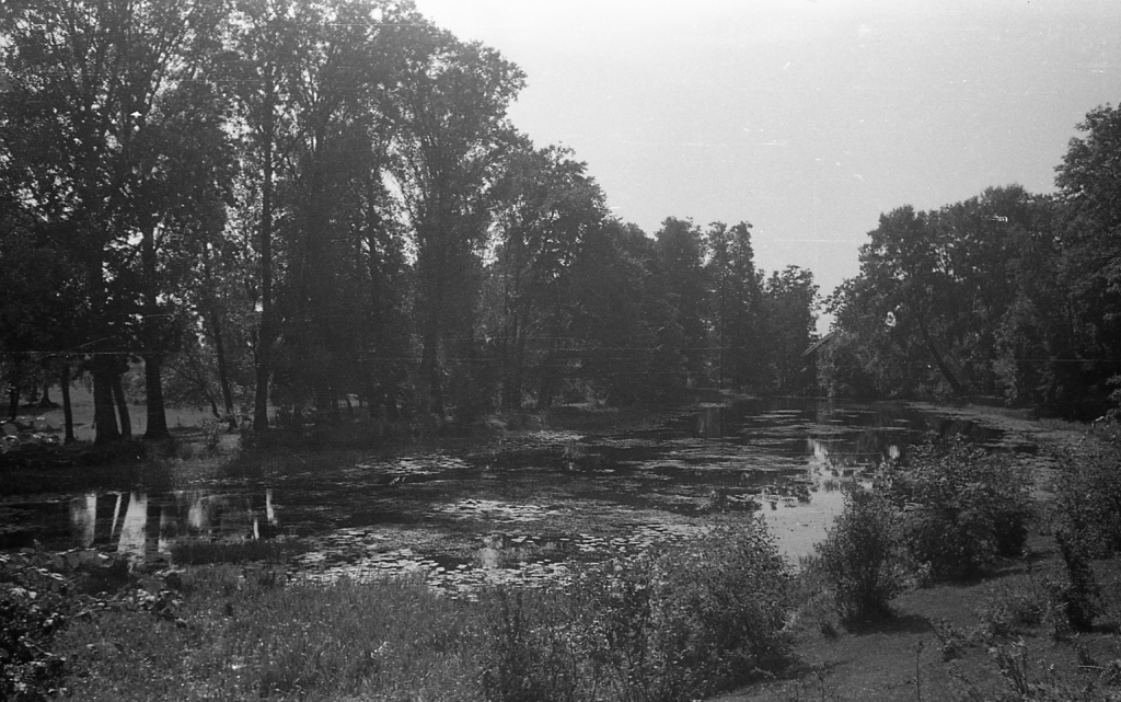 Ogród parkowy w Rudce - 1955 rok